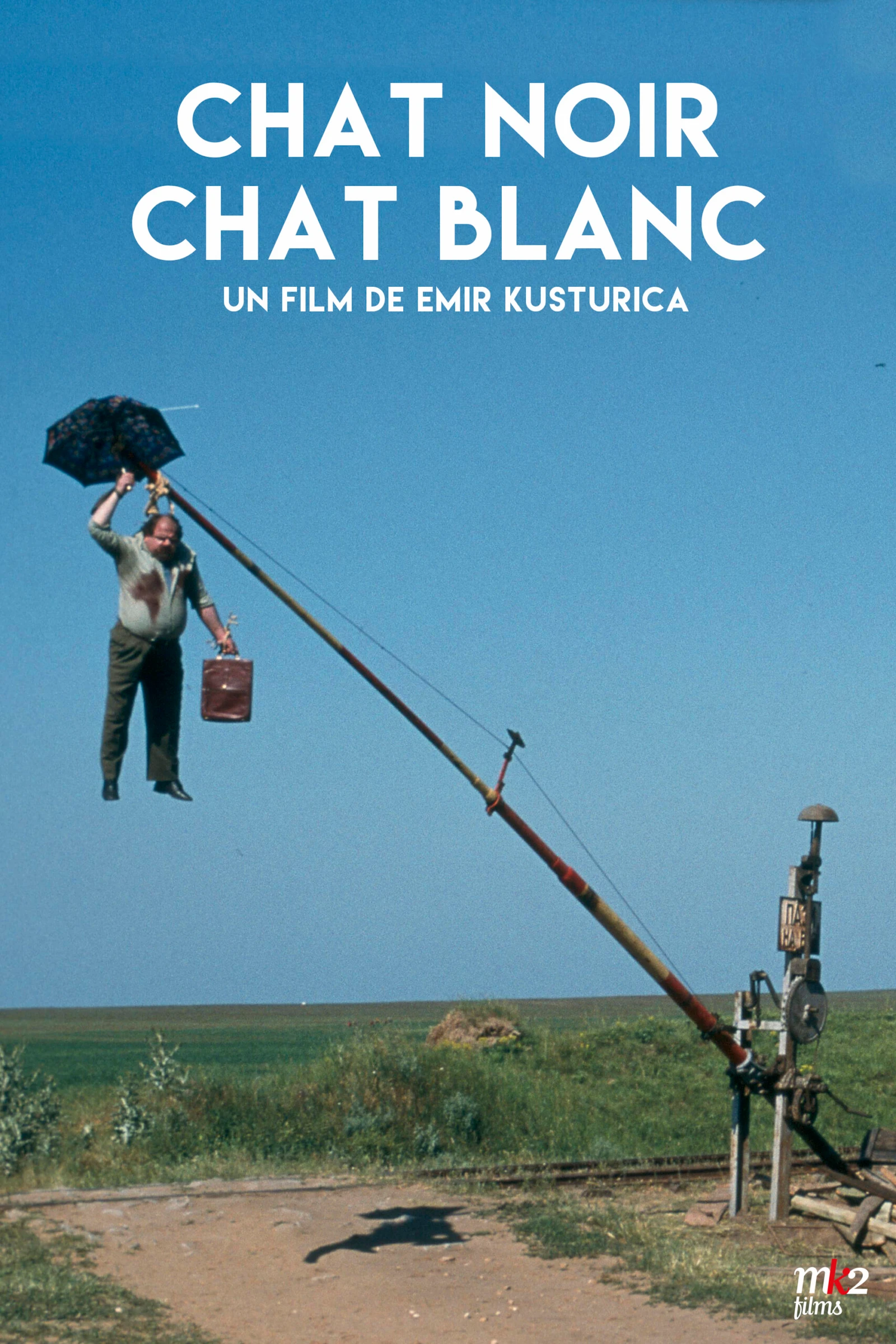 « Chat noir chat blanc » – Drôle de destinée